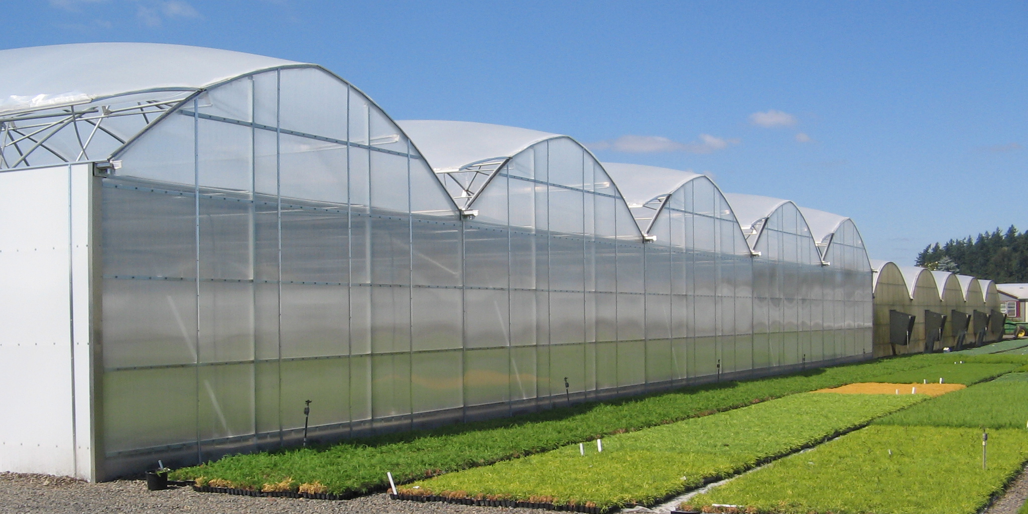 Greenhouse Irrigation